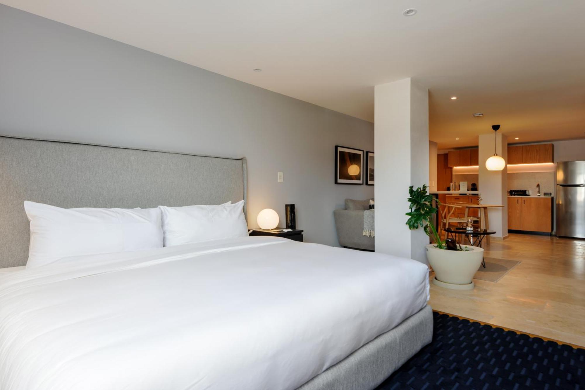 Roma 168 By Wynwood House Aparthotel Mexico-stad Buitenkant foto
